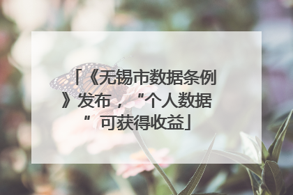 《无锡市数据条例》发布，“个人数据”可获得收益