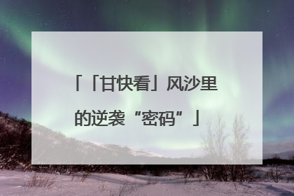 「甘快看」风沙里的逆袭“密码”