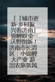 「城市更新·乡村振兴看济南」锦鲤跃金 沃野图新！济南市长清区：小锦鲤大产业 游出农旅新风景