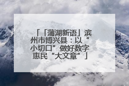 「蒲湖新语」滨州市博兴县：以“小切口”做好数字惠民“大文章”