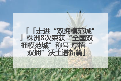 「走进“双拥模范城”」株洲8次荣获“全国双拥模范城”称号 厚植“双拥”沃土谱新篇
