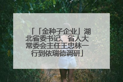 「金种子企业」湖北省委书记、省人大常委会主任王忠林一行到依瑞德调研