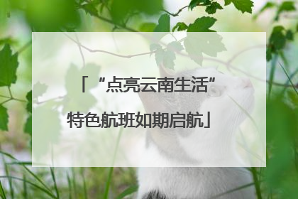 “点亮云南生活”特色航班如期启航