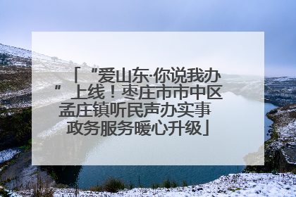 “爱山东·你说我办”上线！枣庄市市中区孟庄镇听民声办实事 政务服务暖心升级