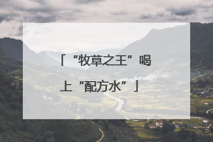“牧草之王”喝上“配方水”
