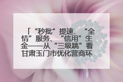 “秒批”提速、“全情”服务、“信用”生金——从“三级跳”看甘肃玉门市优化营商环境的进阶之路