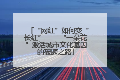 “网红”如何变“长红”——“一朵花”激活城市文化基因的破题之路