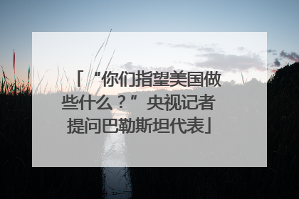 “你们指望美国做些什么？”央视记者提问巴勒斯坦代表