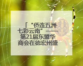 “侨连五洲·七彩云南”——第21届东盟华商会在德宏州盛大开幕