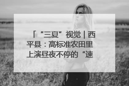 “三夏”视觉｜西平县：高标准农田里上演昼夜不停的“速度与激情”