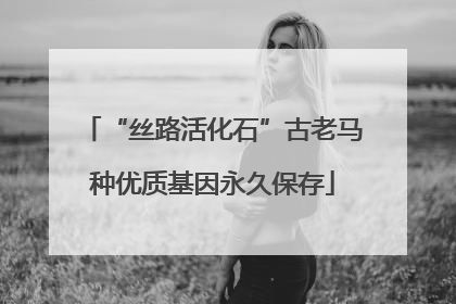 “丝路活化石”古老马种优质基因永久保存