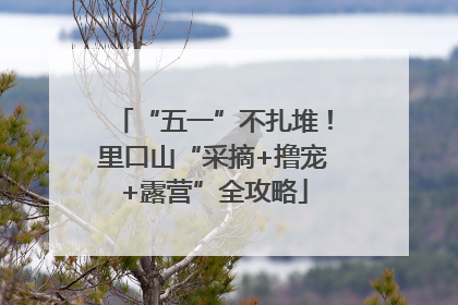 “五一”不扎堆！里口山“采摘+撸宠+露营”全攻略