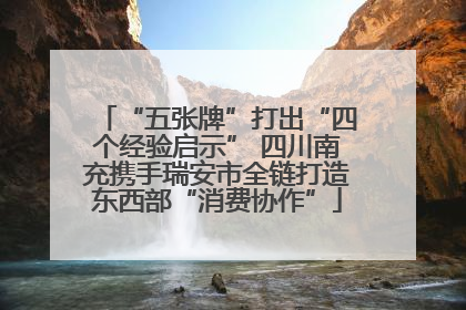 “五张牌”打出“四个经验启示” 四川南充携手瑞安市全链打造东西部“消费协作”