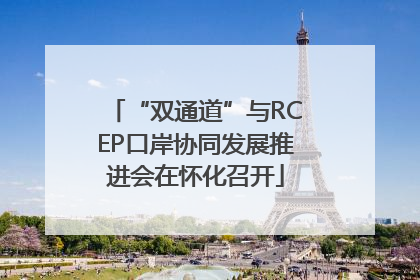 “双通道”与RCEP口岸协同发展推进会在怀化召开