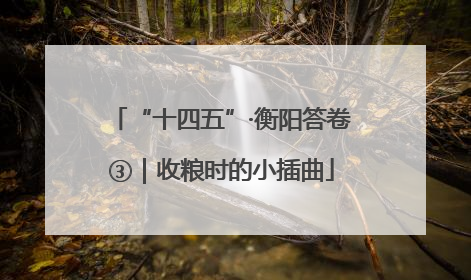 “十四五”·衡阳答卷③｜收粮时的小插曲