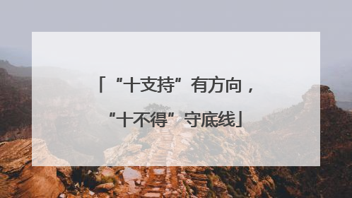 “十支持”有方向，“十不得”守底线
