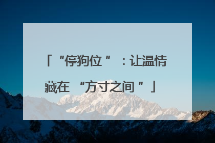 “停狗位 ”：让温情藏在 “方寸之间 ”