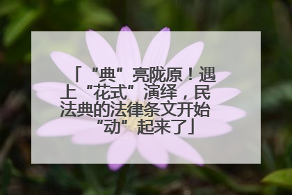 “典”亮陇原！遇上“花式”演绎，民法典的法律条文开始“动”起来了