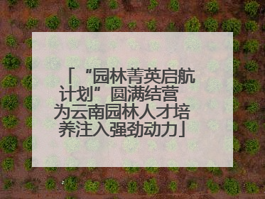 “园林菁英启航计划”圆满结营 为云南园林人才培养注入强劲动力