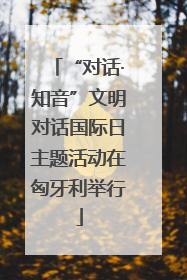 “对话·知音”文明对话国际日主题活动在匈牙利举行