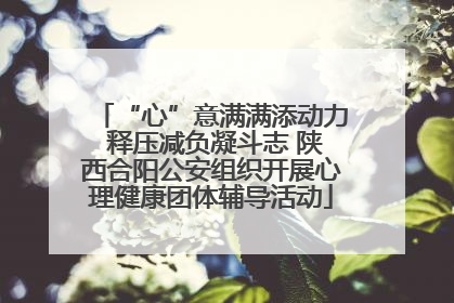 “心”意满满添动力 释压减负凝斗志 陕西合阳公安组织开展心理健康团体辅导活动