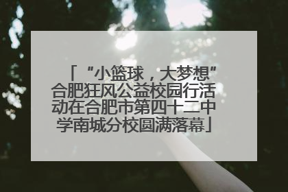 “小篮球，大梦想”合肥狂风公益校园行活动在合肥市第四十二中学南城分校圆满落幕