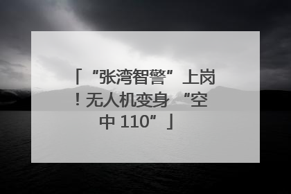 “张湾智警”上岗！无人机变身 “空中 110”