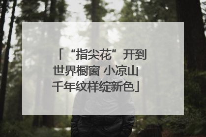“指尖花”开到世界橱窗 小凉山千年纹样绽新色