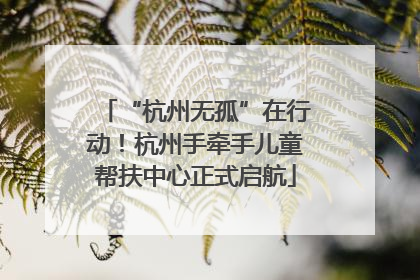 “杭州无孤”在行动！杭州手牵手儿童帮扶中心正式启航