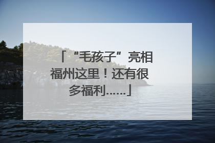 “毛孩子”亮相福州这里！还有很多福利……