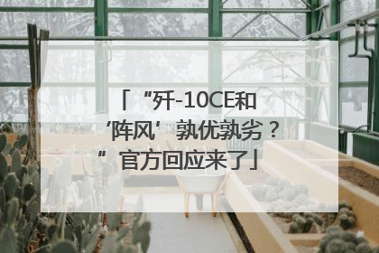 “歼-10CE和‘阵风’孰优孰劣？”官方回应来了