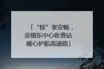 “棕”享安畅，桑植东中心收费站暖心护航高速路