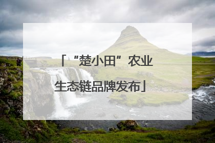 “楚小田”农业生态链品牌发布