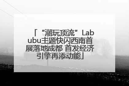 “潮玩顶流”Labubu主题快闪西南首展落地成都 首发经济引擎再添动能