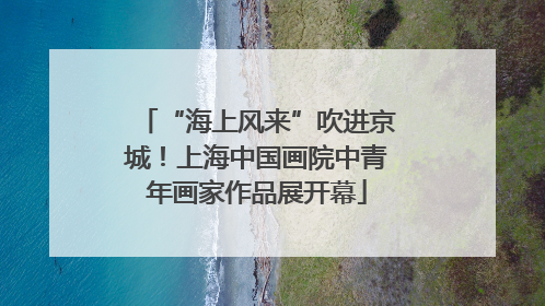 “海上风来”吹进京城！上海中国画院中青年画家作品展开幕