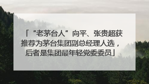 “老茅台人”向平、张贵超获推荐为茅台集团副总经理人选，后者是集团最年轻党委委员