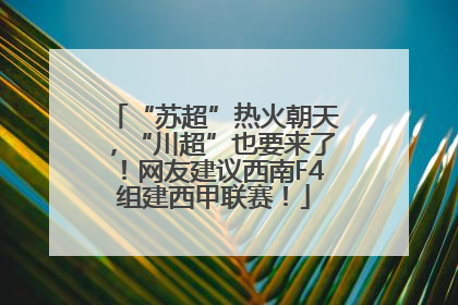 “苏超”热火朝天，“川超”也要来了！网友建议西南F4组建西甲联赛！