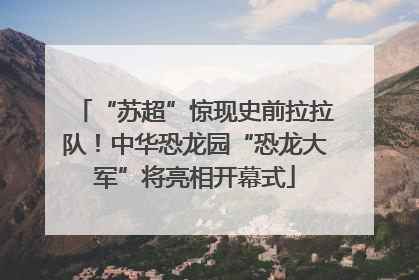 “苏超”惊现史前拉拉队！中华恐龙园“恐龙大军”将亮相开幕式