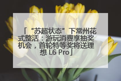 “苏超状态”下常州花式整活：游玩消费享抽奖机会，首轮特等奖将送理想 L6 Pro