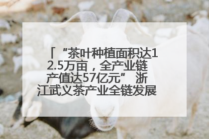 “茶叶种植面积达12.5万亩，全产业链产值达57亿元” 浙江武义茶产业全链发展“加速度”