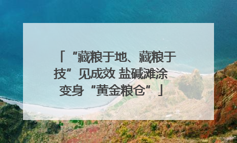 “藏粮于地、藏粮于技”见成效 盐碱滩涂变身“黄金粮仓”