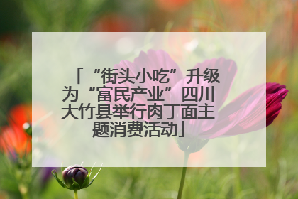 “街头小吃”升级为“富民产业”四川大竹县举行肉丁面主题消费活动