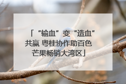 “输血”变“造血”共赢 粤桂协作助百色芒果畅销大湾区