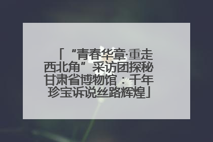 “青春华章·重走西北角”采访团探秘甘肃省博物馆：千年珍宝诉说丝路辉煌