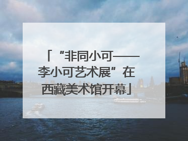 “非同小可——李小可艺术展”在西藏美术馆开幕