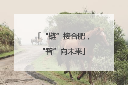 “链”接合肥，“智”向未来