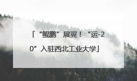 “鲲鹏”展翼！“运-20”入驻西北工业大学