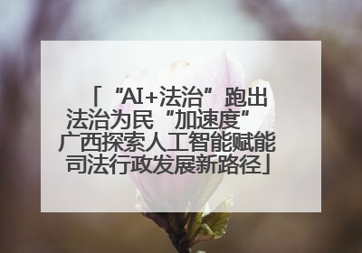 “AI+法治”跑出法治为民“加速度” 广西探索人工智能赋能司法行政发展新路径