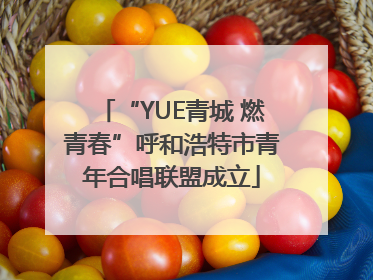 “YUE青城 燃青春”呼和浩特市青年合唱联盟成立