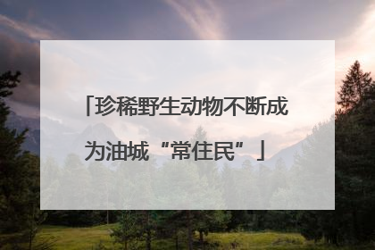 珍稀野生动物不断成为油城“常住民”